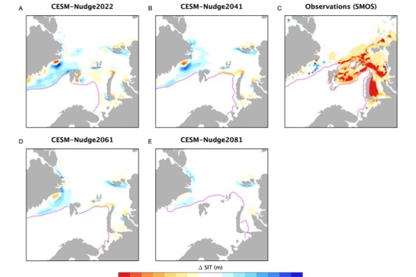 Model Biases in Simulating Extreme Sea Ice Loss Associated With the Record January 2022 Arctic Cyclone